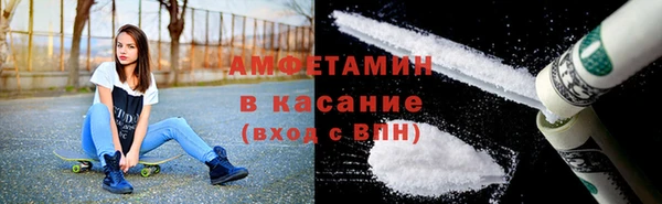 мет Алексин