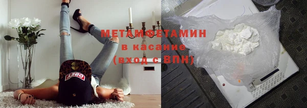 мет Алексин